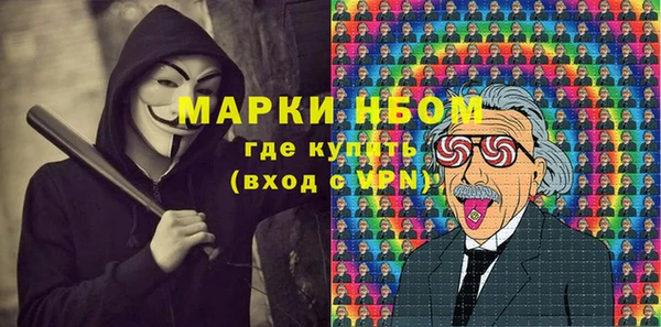 прущий лед Новозыбков