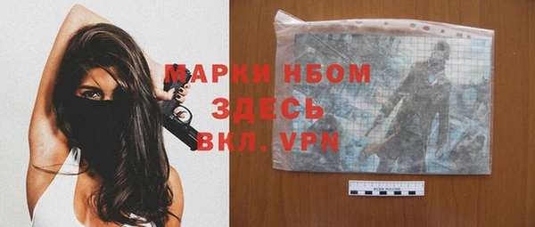 индика Няндома