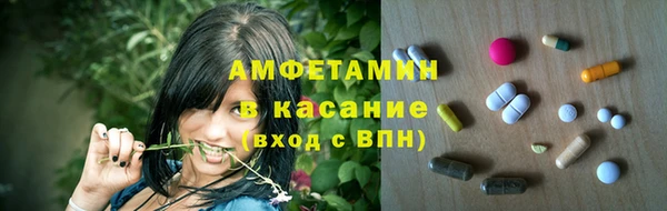 индика Няндома
