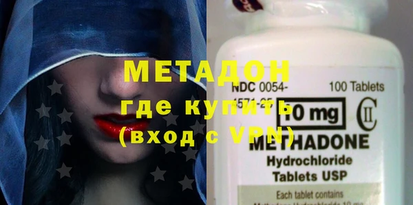 индика Няндома