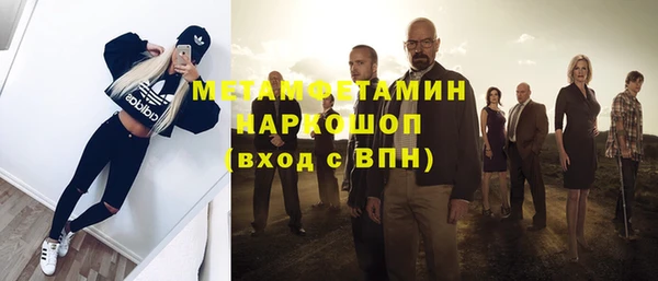 индика Няндома