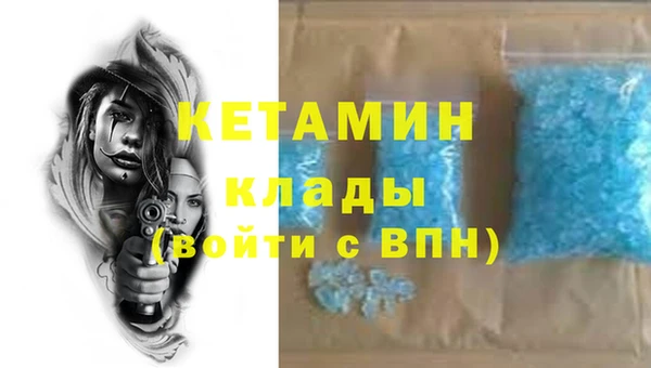 прущий лед Новозыбков