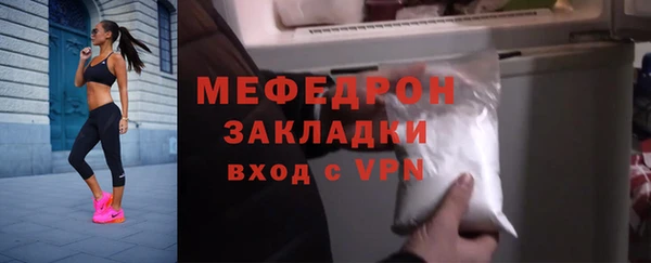 индика Няндома