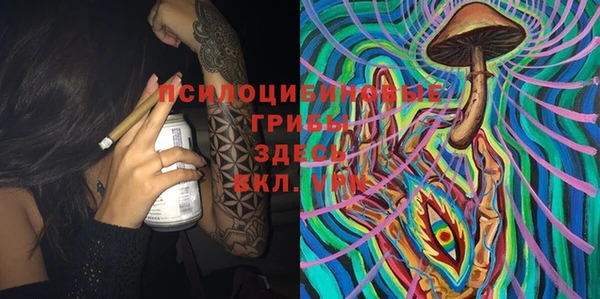 стафф Нягань