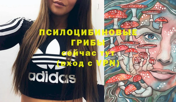 а пвп мука Новодвинск