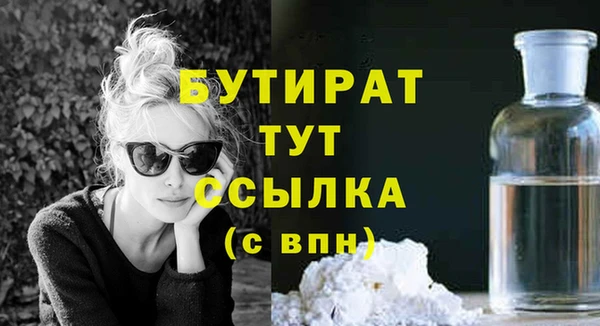 индика Няндома