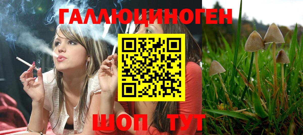 Галлюциногенные грибы ЛСД  Галлюциногенные грибы мицелий  Вход с VPN  Воронеж 